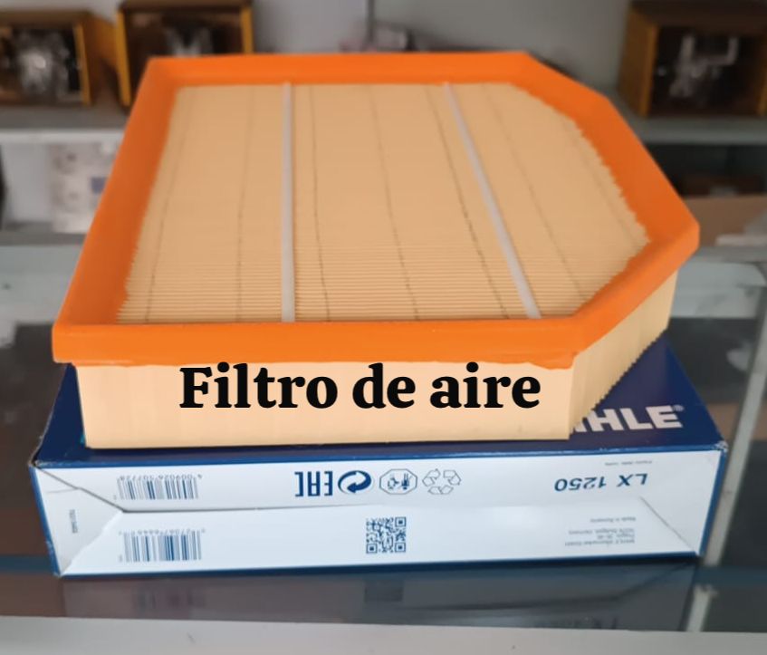 Filtro de Aire